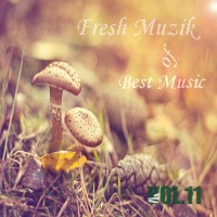 【Mixtape】VA-《Best Music of Fresh Muzik Vol.11》