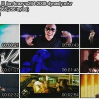 【MV】pitbull ft lil jon-krazy